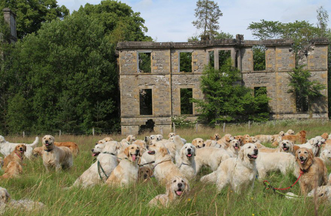 20 lễ hội “lạ đời” nhất thế giới - 5