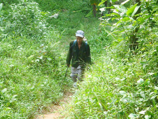 “Người rừng” Hồ Văn Lang muốn lấy vợ - 1