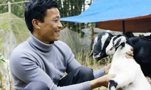 “Cụ” dê vào sới đấu - 6