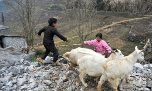 “Cụ” dê vào sới đấu - 8