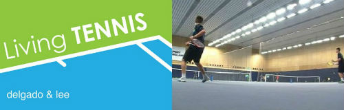 VĐV tennis làm gì sau khi giải nghệ - 2