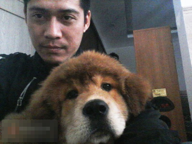 Chú chó ngao Tây Tạng tên Bông đáng yêu của anh N có giá 30 triệu đồng.
