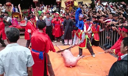 Báo quốc tế nói gì về lễ hội chém lợn của Việt Nam? - 1