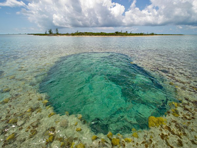 9. Deep Water Cay, Bahamas: Đây là hòn đảo khá riêng tư để bạn có thể thoải mái lặn bình dưỡng khí, lặn vòi hơi, câu cá và và nghỉ dưỡng.

