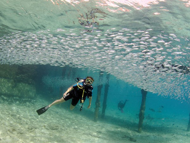 3. Bonaire: Được xem như thủ đô lặn biển ngay sát bờ của thế giới, đến Bonaire&nbsp;bạn không cần phải cần ra quá xa bởi vì dải san hô nằm chỉ cách vài bước ngoài khơi.
