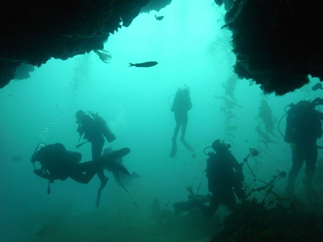 6. Catalina Island: Trong hơn 50 năm qua, các thay lặn đã luôn chọn Catalina Island (ngoài khơi California) làm nơi thử thách bản thân và nay họ đã có thêm Underwater Dive Park để khám phá công viên dưới lòng đại dương.
