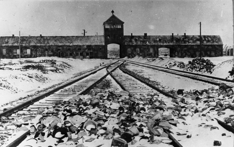 Đức sắp tái bản “sách hướng dẫn diệt chủng” của Hitler - 2