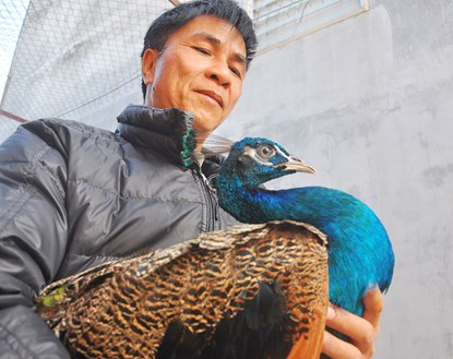 Luyện công múa, lãi 300 triệu mỗi năm - 1