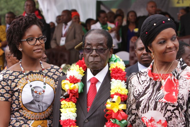 Zimbabwe xẻ thịt voi rừng mừng tổng thống 91 tuổi - 1