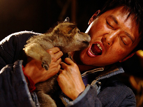 Khám phá đoàn phim "sống chung" với 35 chú sói - 9