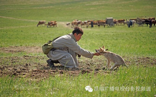 Khám phá đoàn phim "sống chung" với 35 chú sói - 7