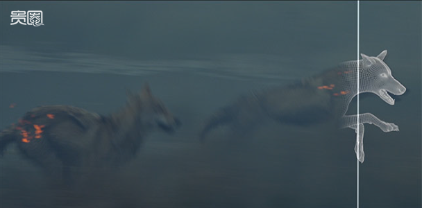 Khám phá đoàn phim "sống chung" với 35 chú sói - 2