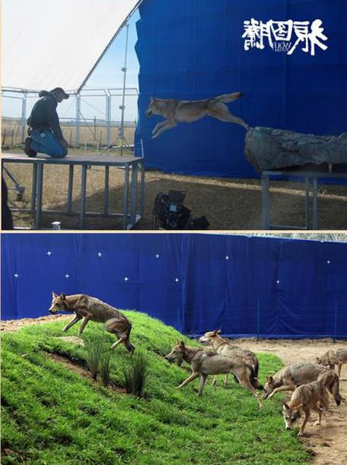 Khám phá đoàn phim "sống chung" với 35 chú sói - 10