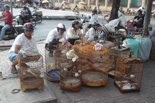 LẠ: Chợ côn trùng “mini” 30m2 giữa lòng Sài Gòn - 8