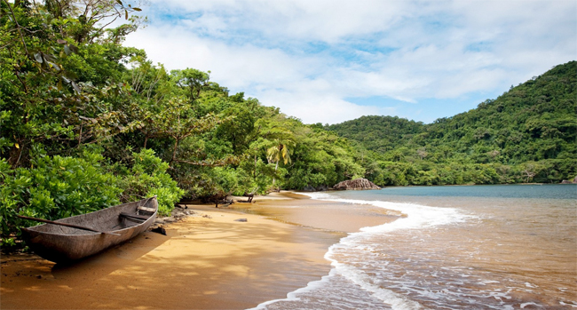 Công viên quốc gia Masoala, Madagascar.
