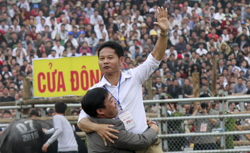 Cho trâu nghe nhạc - Độc chiêu “luyện võ” cho “chiến ngưu” - 3