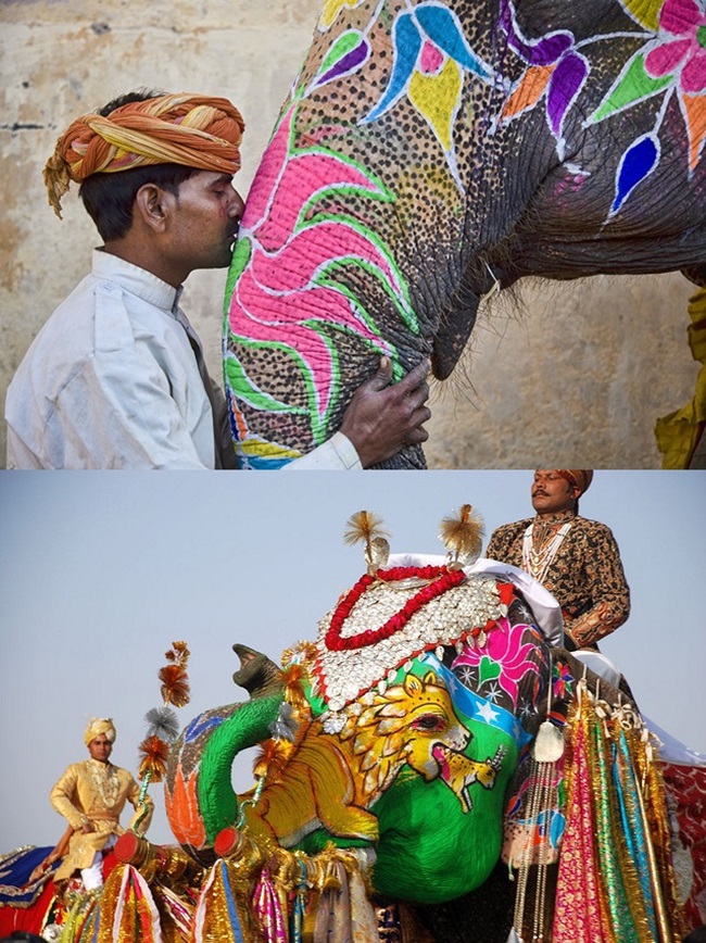 Ngạc nhiên với nghệ thuật xăm mình cho lợn, tô màu cho voi - 3