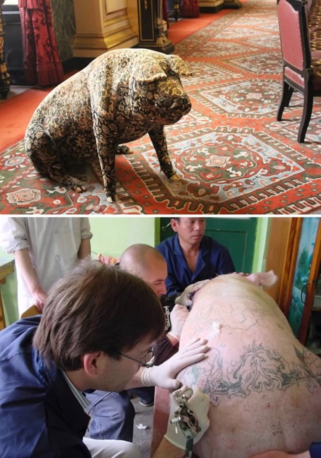 Ngạc nhiên với nghệ thuật xăm mình cho lợn, tô màu cho voi - 4