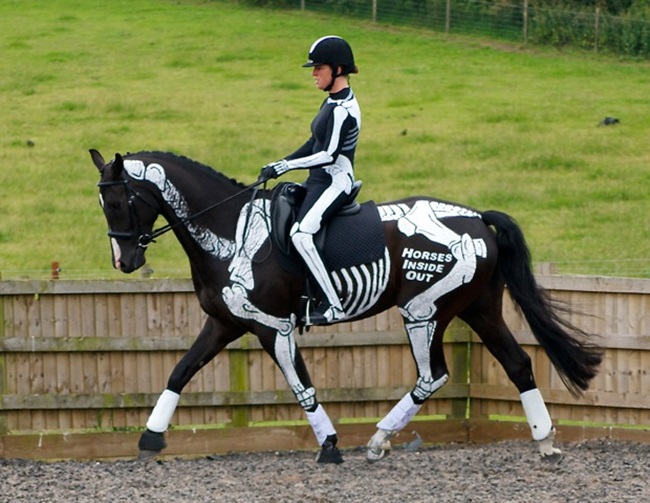 Ngạc nhiên với nghệ thuật xăm mình cho lợn, tô màu cho voi - 9