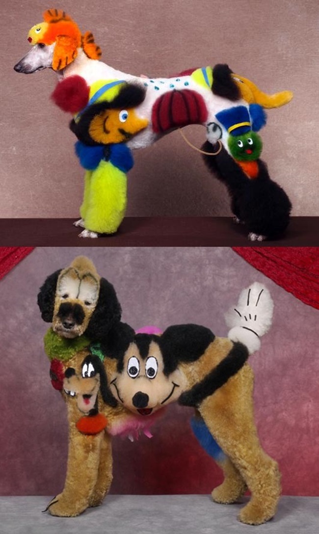 Ngạc nhiên với nghệ thuật xăm mình cho lợn, tô màu cho voi - 12