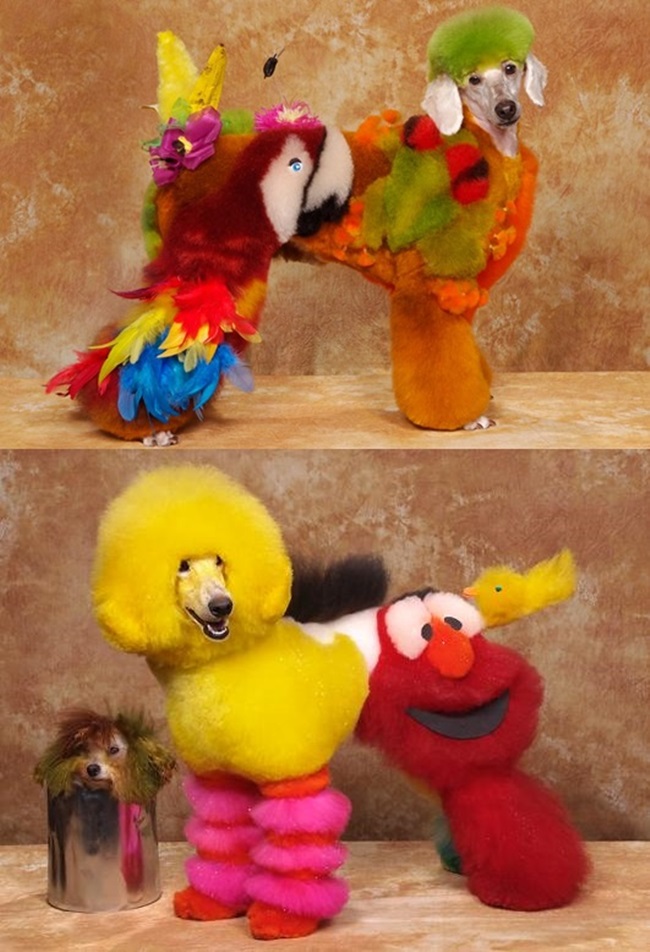 Ngạc nhiên với nghệ thuật xăm mình cho lợn, tô màu cho voi - 11