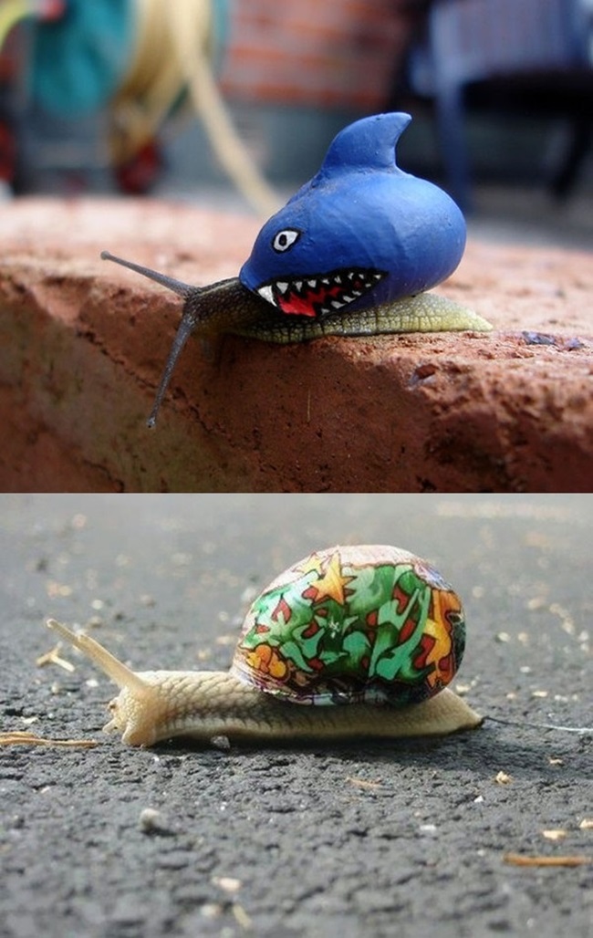 Ngạc nhiên với nghệ thuật xăm mình cho lợn, tô màu cho voi - 2