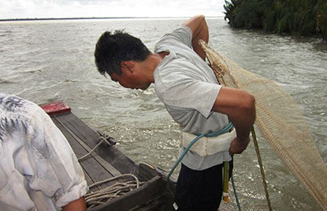 Săn cá ngát ‘khủng’ trên sông Hàm Luông - 1