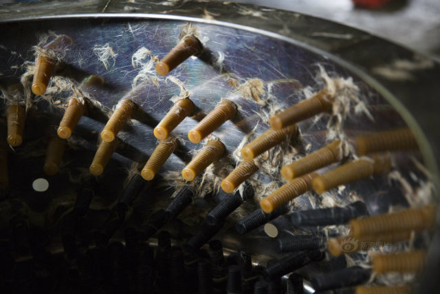 Bên trong lò giết mổ chó kinh hoàng ở Trung Quốc - 3