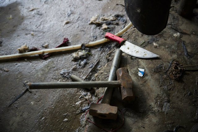 Bên trong lò giết mổ chó kinh hoàng ở Trung Quốc - 2