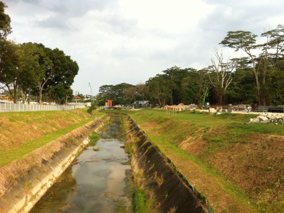 Singapore: Chặt 20 cây để đào kênh, chính quyền bị chất vấn - 1