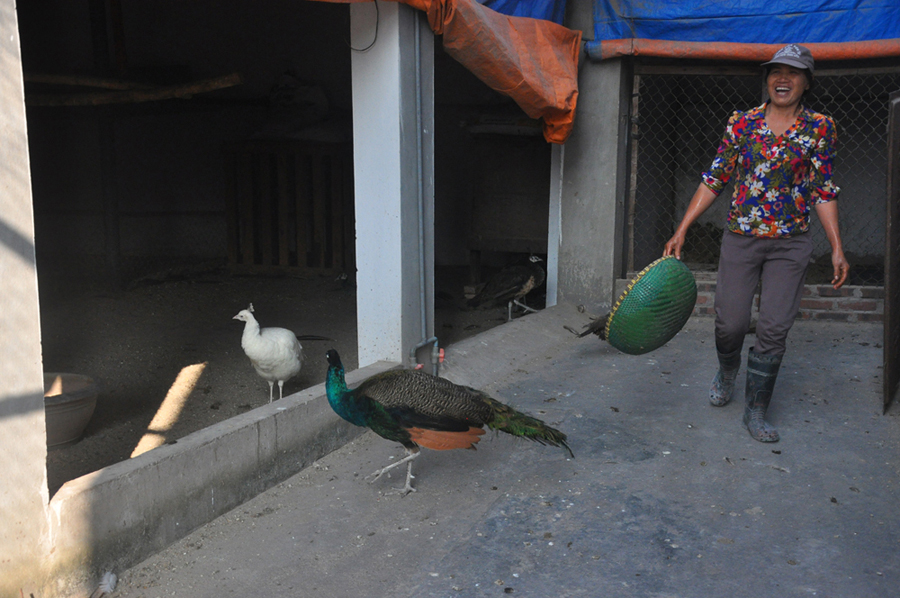 Thu hàng trăm triệu nhờ dàn "vũ công" tuyệt đẹp - 7