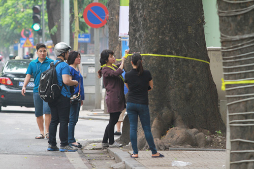 Giới trẻ Hà Thành thắt nơ bảo vệ cây trên phố - 1