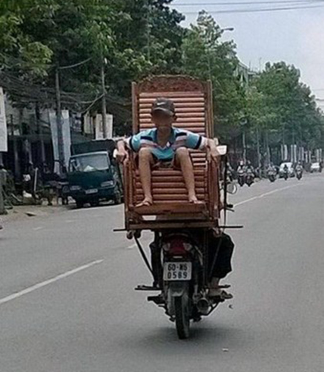 "Tiểu gia" ngao du ngắm cảnh
