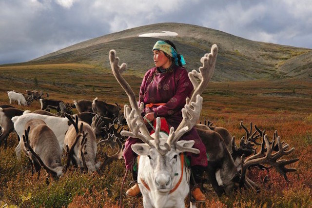 Sau nửa thập kỷ sinh sống ở Nepal, khám phá khu vực Tây Tạng và dãy Himalaya, nhiếp ảnh gia Hamid Sardar-Afkhami đã lên đường tới Mông Cổ để tìm hiểu về cuộc sống độc đáo của người dân các bộ lạc ở đất nước này.

