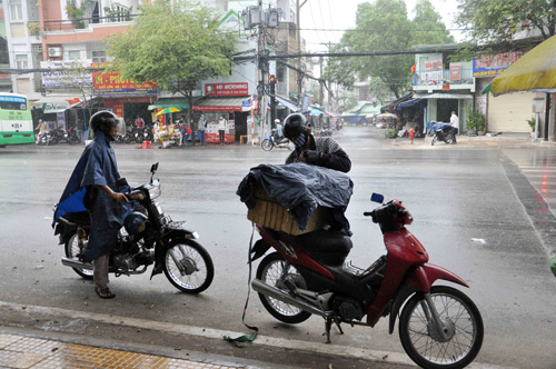 Mưa “vàng” đổ xuống giữa Sài Gòn oi bức - 4