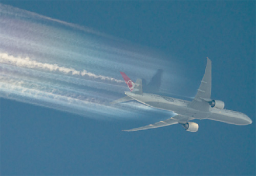 Bị đe dọa đánh bom, Boeing 777 phải hạ cánh khẩn cấp - 1