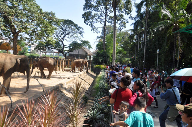 TPHCM: Người đến chơi quá đông, công viên cũng… tắc - 13