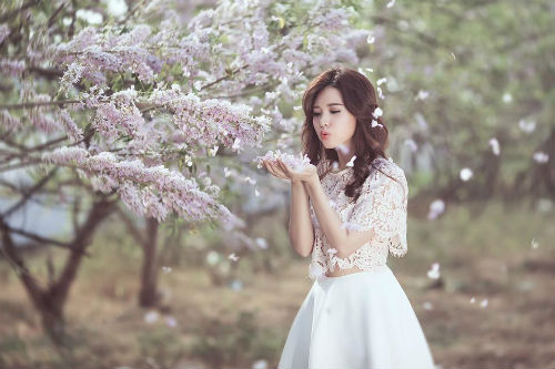 Midu đẹp rạng rỡ giữa rừng hoa anh đào - 5