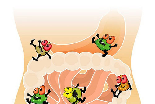 Ăn gì để hết rối loạn tiêu hoá? - 2