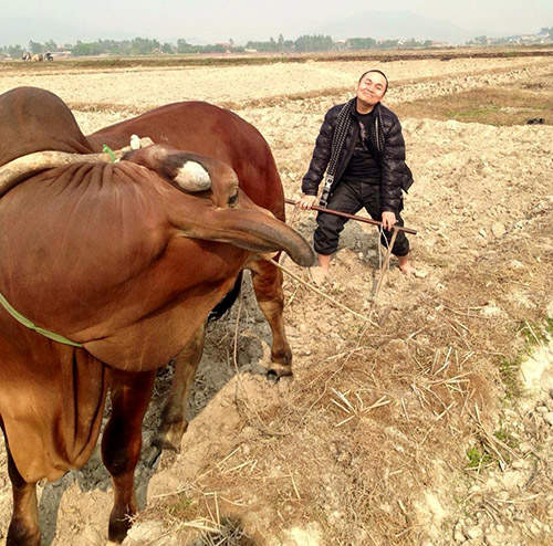 Facebook sao 5/1: Thùy Minh khuyên 'The Remix' nên bỏ MC - 5