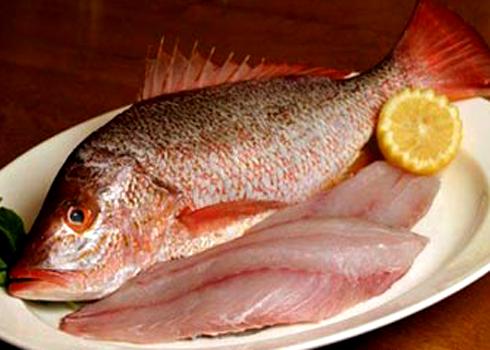 Những cách ăn cá gây bệnh nghiêm trọng - 1