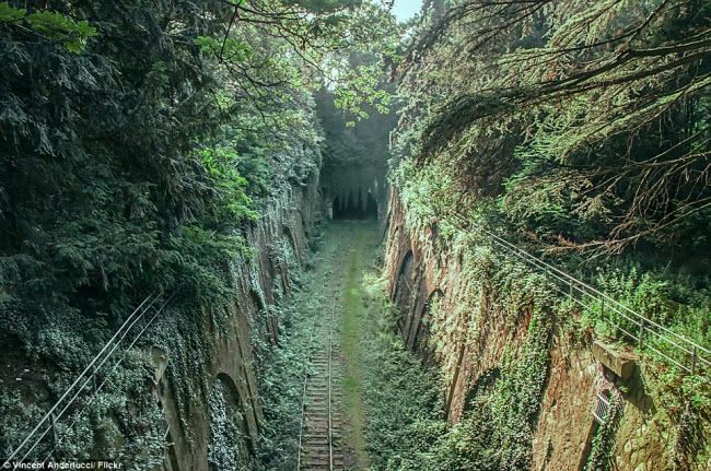 Bị bỏ hoang từ năm 1934, tuyến đường ray Chemin de fer de Petite Ceinture ở thành phố Paris của Pháp hiện trở thành điểm tham quan ưa thích của những người mê thiên nhiên.