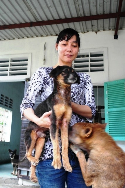 Chàng trai Hà Tĩnh thuê trọ cứu chó mèo bị bỏ rơi ở Huế - 8