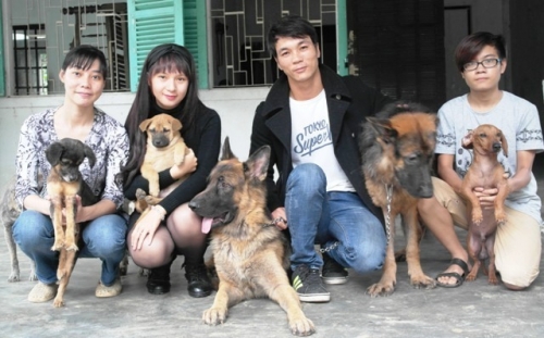 Chàng trai Hà Tĩnh thuê trọ cứu chó mèo bị bỏ rơi ở Huế - 5