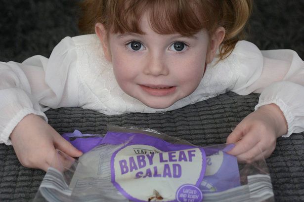 Cô bé 4 tuổi suýt mất mạng vì bị côn trùng cắn khi ăn salad - 1