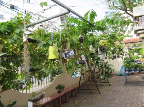 Lạ mắt vườn cây từ vật dụng tái chế của học sinh lớp 8 - 10