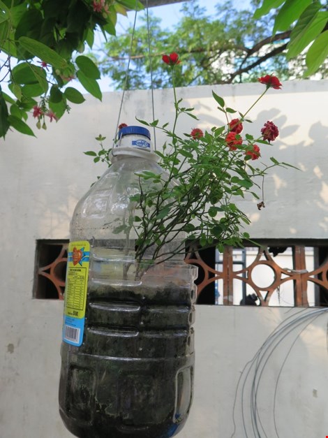 Lạ mắt vườn cây từ vật dụng tái chế của học sinh lớp 8 - 12