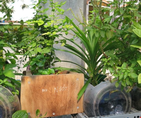 Lạ mắt vườn cây từ vật dụng tái chế của học sinh lớp 8 - 13