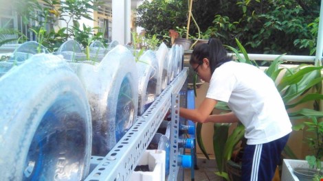 Lạ mắt vườn cây từ vật dụng tái chế của học sinh lớp 8 - 3