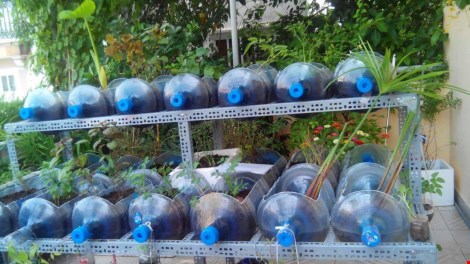Lạ mắt vườn cây từ vật dụng tái chế của học sinh lớp 8 - 4